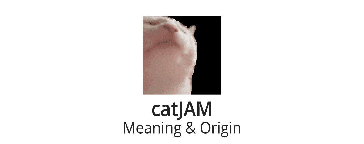 catjam meaning and origin