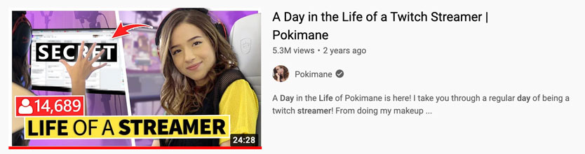 what does a streamer do in their day to day?